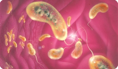 В Мариуполе выявили ещё одного больного холерой