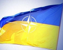 НАТО едет в Украину