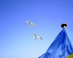 В Украине продолжаются скандалы вокруг флагов