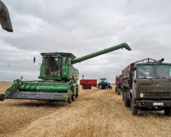 Украинские аграрии собрали уже 16 млн. тонн зерна