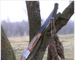 В Украине откладывается начало сезона охоты