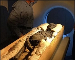 Учеными выделена ДНК египетских мумий