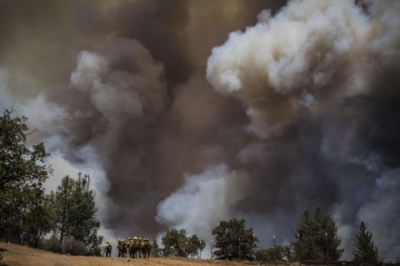 Лесные пожары в Калифорнии стали причиной чрезвычайного положения в штате