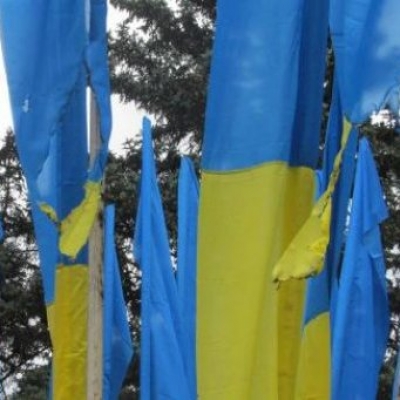 В Закарпатье сожгли флаг Украины