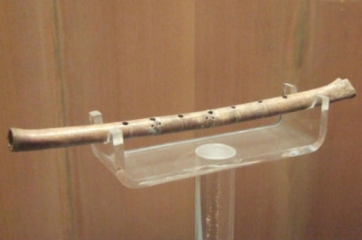 В Китае обнаружены древнейшие флейты из костей