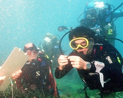 В Японском море найдены 200 не известных науке организмов