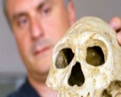 Найденный в Грузии древнейшийчереп откроет много нового об эволюции человека 