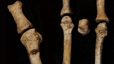 Испанские археологи раскопали останки человека, жившего 400 000 лет назад