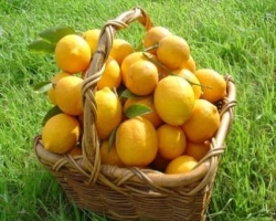 Чтоб достойно встретить лето есть лимонная диета!