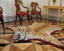 Китайцы официально подтвердили, что внутри их страны торгуют шкурами тигров 
