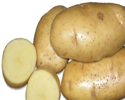 В картофеле больше пользы, чем в бананах