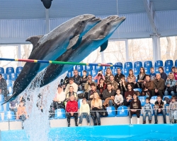 Из Донецкого дельфинария эвакуировали питомцев 