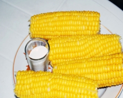 Вареная кукуруза поможет избежать запоров