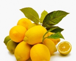Для украинцев лимоны подешевеют с ноября