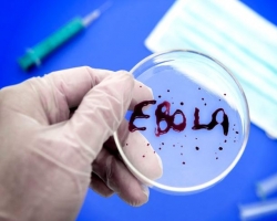 От Эболы умер первый больной американец: в США паника!