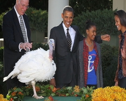 В день благодарения Обама по традиции "помиловал" двух индеек