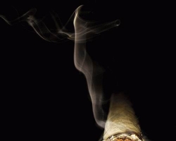 В Украине остановили табачную эпидемию