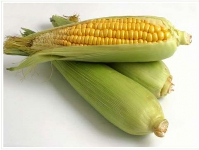 Украина отдаст долг Китаю кукурузой