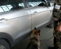 На границе служебная собака нашла гашиш 
