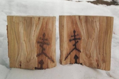 Чудеса на Закарпатье: на срубах деревьев появляются нерукотворные кресты