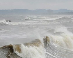 После землетрясения на архипелаге Соломоновых островов волна цунами дошла до Японии