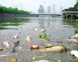 Китайские власти пытаются исправить катастрофическую экологию