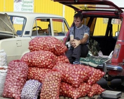 Украинские коммунисты хотят сажать крестьян