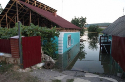 Ученые создали траву для борьбы с наводнениями