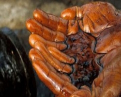 В Полтавской области «Нафтогаз» обнаружил новое нефтяное месторождение 