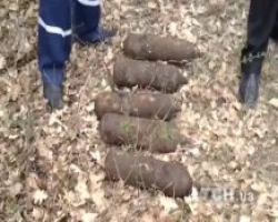 В Крыму под землей обнаружено около 40 литров ртути 