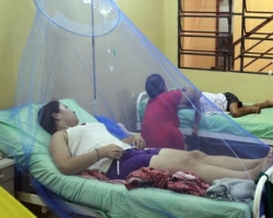 В Парагвае смертельная лихорадка Денге убила 50 чел