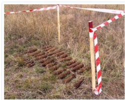 В Днепропетровской области взорвались боеприпасы, есть раненные