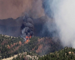 Тысячи жителей США эвакуируют из-за лесных пожаров
