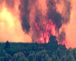 В 11 штатах США разразились лесные пожары