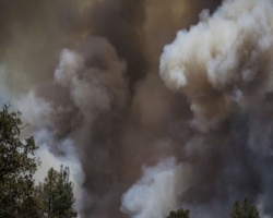 Лесные пожары в Калифорнии стали причиной чрезвычайного положения в штате