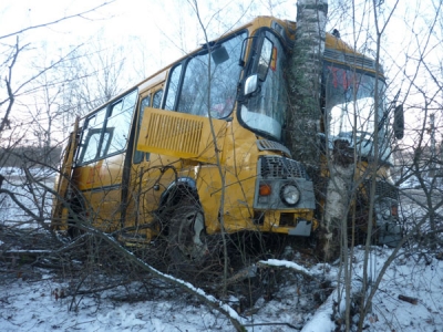 Автобус с 22 детьми врезался в дерево во Львовской обл.