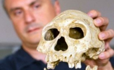 Найденный в Грузии древнейшийчереп откроет много нового об эволюции человека 