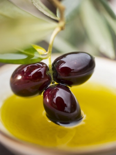 Плоды, листья и масло оливы эффективно предотвращают рак