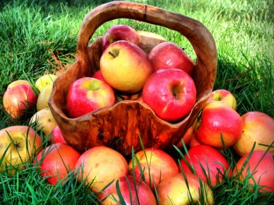 Яблоки помогают работе сердца