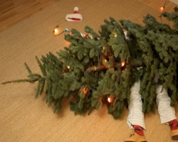  Супруг довел жену, и та побила его рождественской елкой 