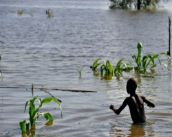 В Бурунди бушует наводнение, более 50 человек погибли
