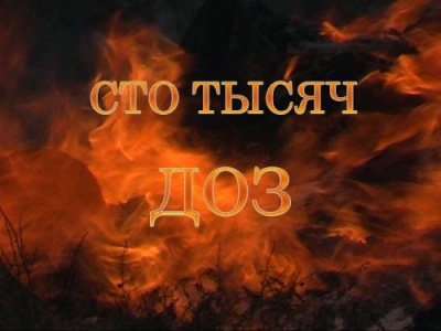 В Славянске на Донетчине были изъяты и сожжены 	100 кг наркотиков 