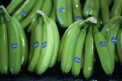 Специалисты рекомендуют есть зеленые бананы