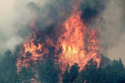 На территории Вашингтона и Орегона пожары стали причиной чрезвычайного положения
