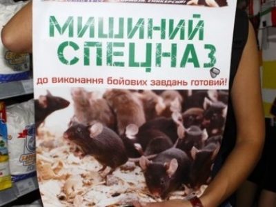 Около полусотни живых мышей выпустили во Львовском супермаркете, чтобы они съели товары из России