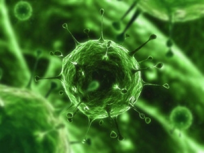 Найден новый вирус, живущий в кишечнике у половины населения земного шара