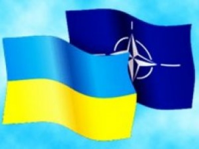 Министр обороны Польши не отрицает, что Украине продает оружие одно из государств-членов НАТО