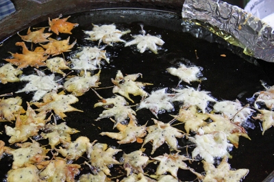 Японцам надоели суши, они подсели на жареные кленовые листья