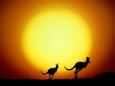 Австралийцы выживают в условиях рекордной жары