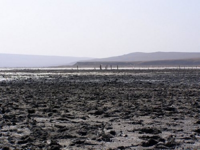 Высохло озеро Чокрак на Керченском полуострове, экологи в шоке 